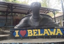 Wisata Edukasi Seru Bersama Ratusan Kura-Kura di Desa Belawa