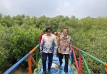 Sensasi Baru Berlibur di Cirebon, Wisata Dewi Bahari dan Mangrove Kasih Sayang Resmi Dibuka