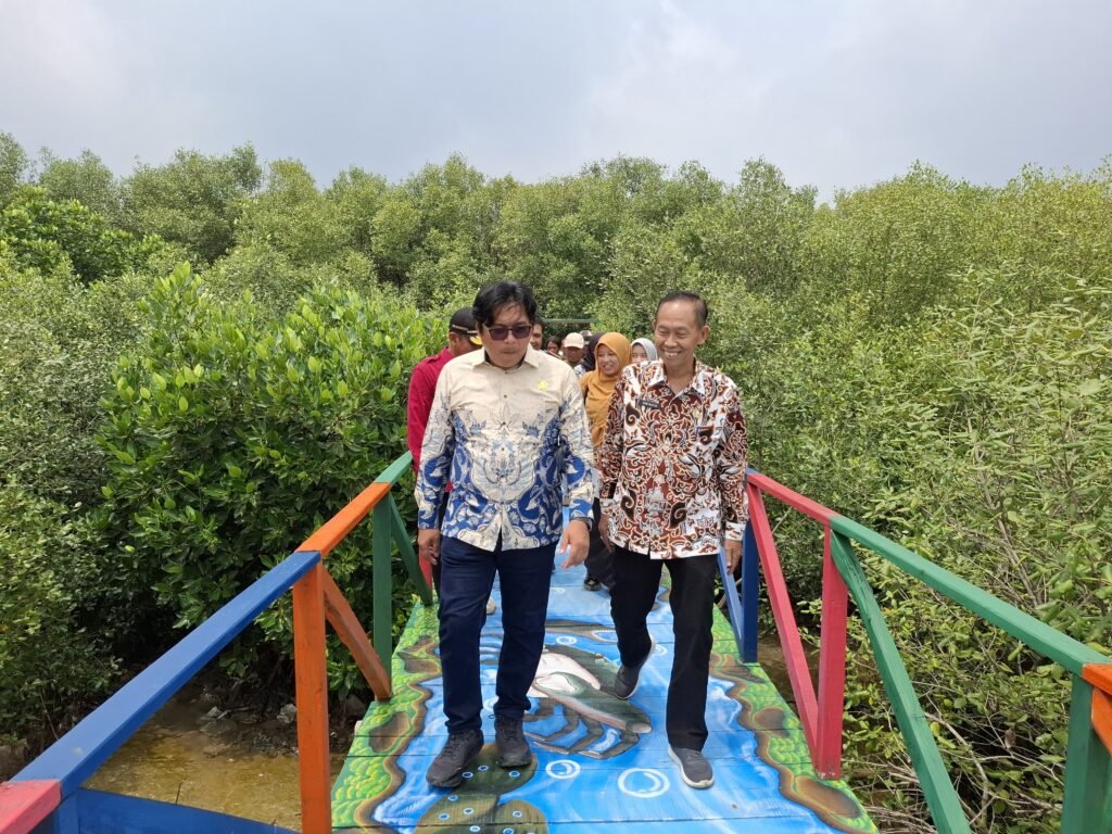 Wisata Dewi Bahari dan Mangrove/(Foto: Istimewa)