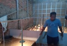 Kisah Suhana, Kepala Desa yang Tak Canggung Berkeringat di Kandang Ayam