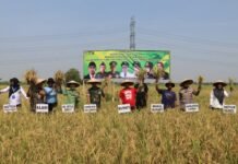 Hari Tani Nasional, Bupati Imron Ajak Petani Tingkatkan Produksi Padi