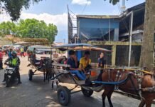 Kompensasi bagi Pengemudi Angkutan Tradisional Disalurkan, Setiap Orang Dapat Rp1,4 Juta