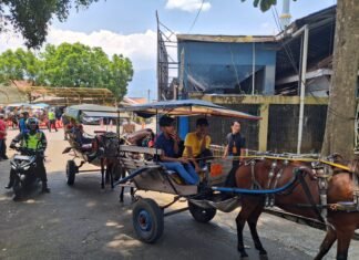 Kompensasi bagi Pengemudi Angkutan Tradisional Disalurkan, Setiap Orang Dapat Rp1,4 Juta