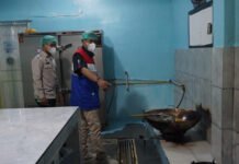 PGN Salurkan Gas Bumi ke Dapur MBG di Cirebon, Layani 2.700 Penerima Manfaat