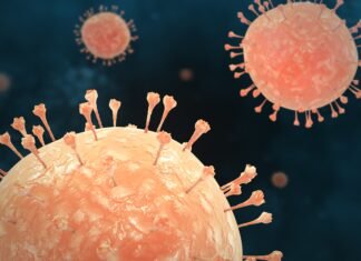 Masyarakat Diimbau Waspadai Penularan Campak Saat Mudik Idulfitri