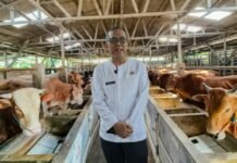 Jelang Iduladha, Pemkab Cirebon Periksa Kesehatan Hewan Kurban