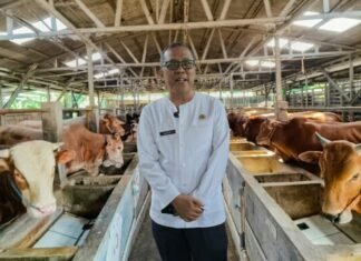 Jelang Iduladha, Pemkab Cirebon Periksa Kesehatan Hewan Kurban