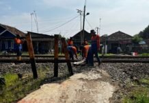 Tingkatkan Keselamatan, KAI Daop 3 Cirebon Tutup Perlintasan Sebidang Ilegal