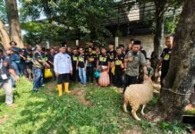 Pemkab Cirebon dan Juru Sembelih Halal Perkuat Standar Kurban Halal dan Higienis