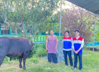 Iduladha 1447 H, PGN Salurkan Ratusan Hewan Kurban di Cirebon