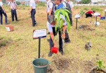 HUT ke-81 RI, KAI Daop 3 Cirebon Hijaukan Stasiun Prujakan