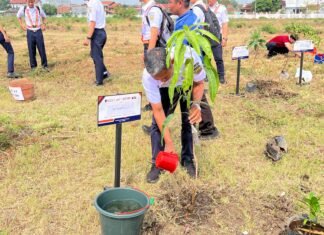 HUT ke-81 RI, KAI Daop 3 Cirebon Hijaukan Stasiun Prujakan