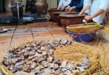 Ikan Bekasem Keraton Kasepuhan Difermentasi Sebulan Jelang Maulid Nabi