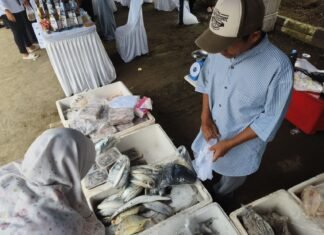 Produksi Perikanan Kabupaten Cirebon Melesat, Budidaya Jadi Andalan
