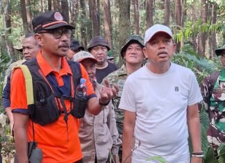 Pemadaman Kebakaran Gunung Ciremai Jadi Prioritas, KDM Absen di Acara Prabowo